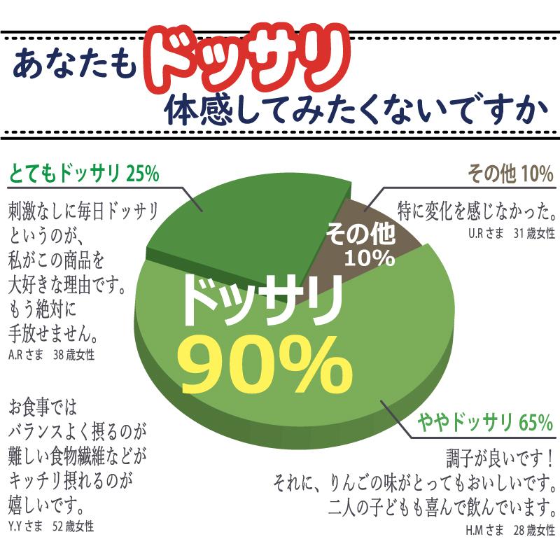 乳酸菌 サプリ 食物繊維 お試し 初回限定価格 チョースッキリおん 5包 メール便送料込〔サツマ薬局〕｜satuma｜07