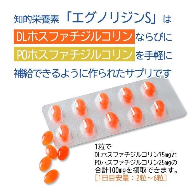 エグノリジンS(60粒) 2箱 エグノリジン S 60粒 大豆レシチン 卵黄レシチン PO DL ホスファリジル
