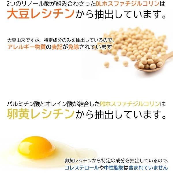エグノリジン S 60粒 大豆レシチン 卵黄レシチン PO DL ホスファリジル