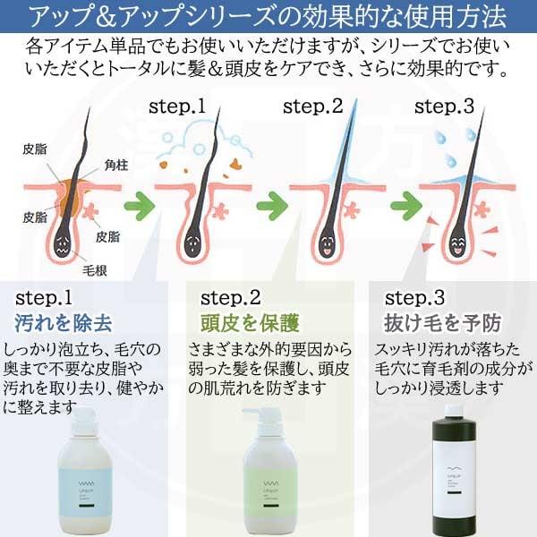 値下☆【新品未使用】良質!!シェイプアップ ヤシ油 アミノ酸系 弱酸性 UP＆UP（アップ＆アップ）スカルプ