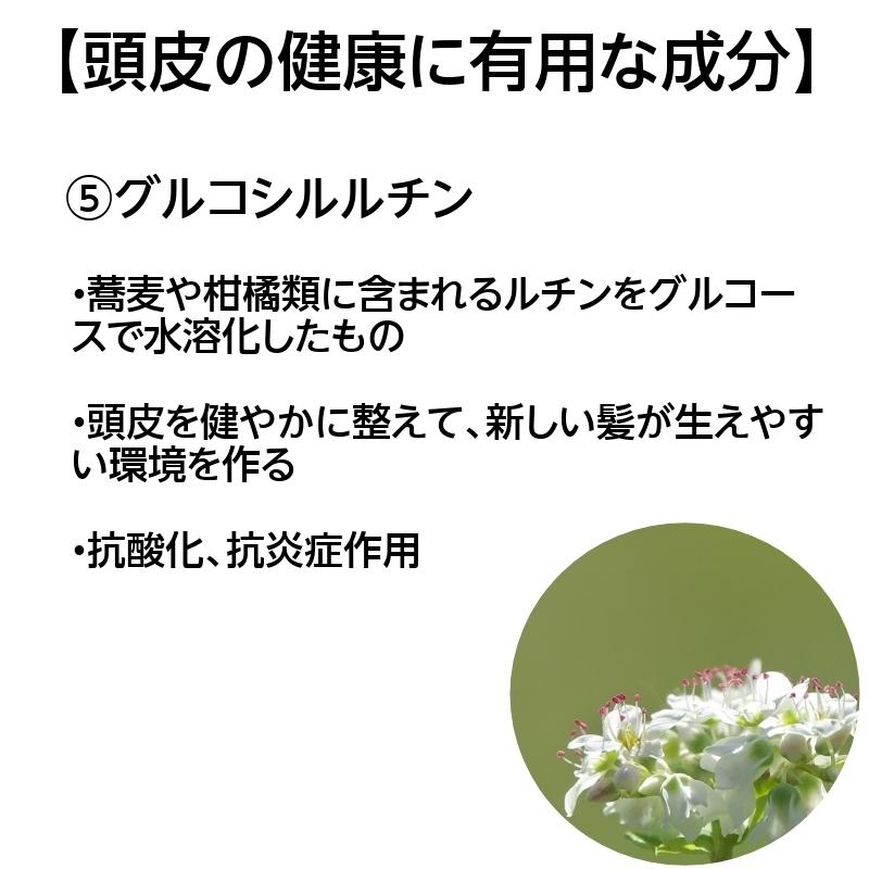 ヤシ油 アミノ酸系 弱酸性 UP＆UP（アップ＆アップ）スカルプ