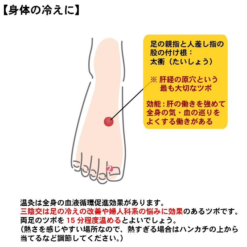 冷え性 温活 お灸 邵氏温灸器 3個セット 煙が出ない ベビ待ち 関節痛 医療機器 〔徳潤〕｜satuma｜13