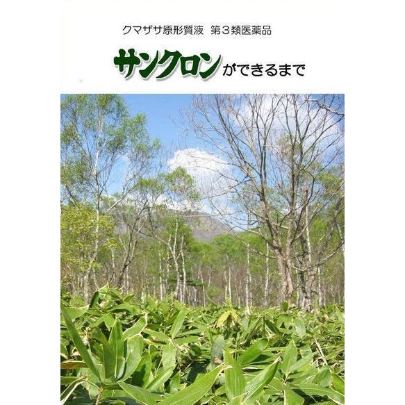 父の日 歯槽膿漏 歯周病 隈笹 クマザサエキス サンクロン 120ml×6本入 歯肉炎 口臭 《第3類医薬品》|satuma|13