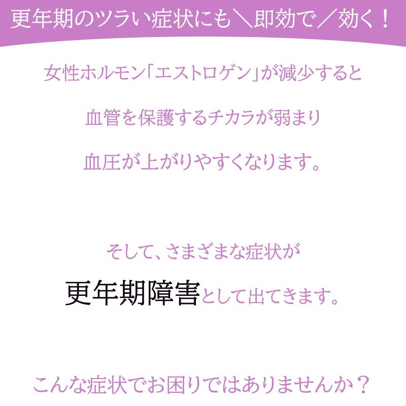 使用期限：2026年9月】【期限切迫特価】牛黄 牛黄清心元 ゴオウ 東方