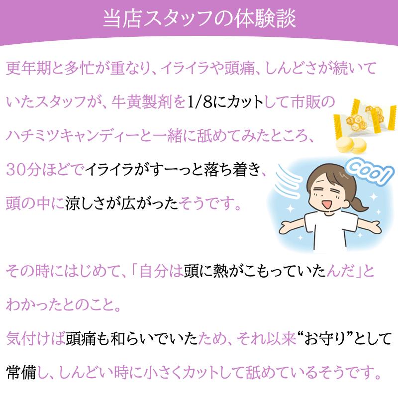 使用期限：2026年9月】【期限切迫特価】牛黄 牛黄清心元 ゴオウ 東方