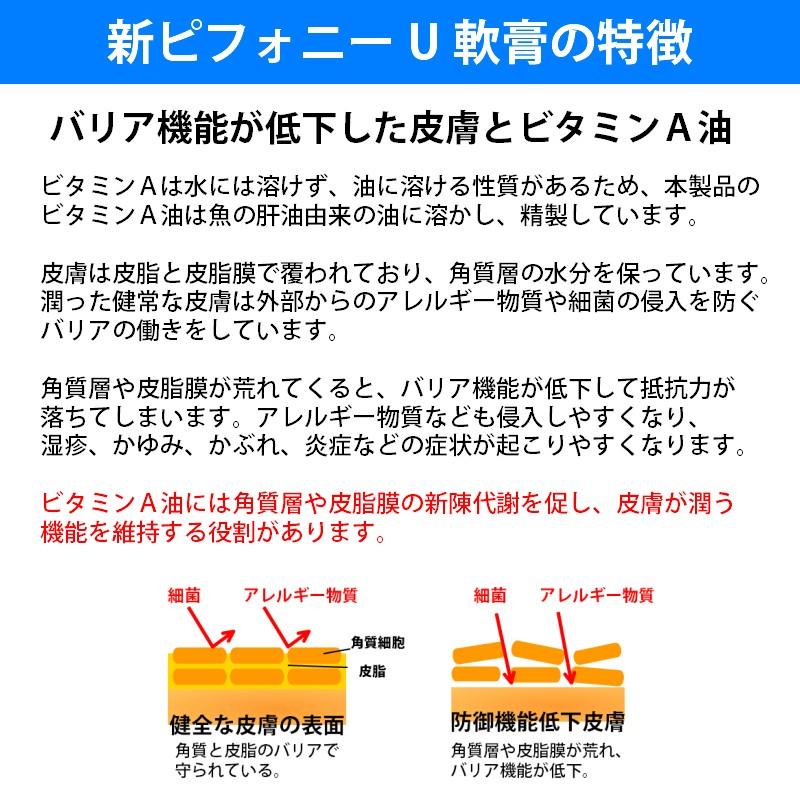 メール便送料込 新ピフォニーu軟膏 15g ノンステロイド ステロイド不使用 第2類医薬品 ノーエチ薬品 控 サツマ薬局 通販 Yahoo ショッピング