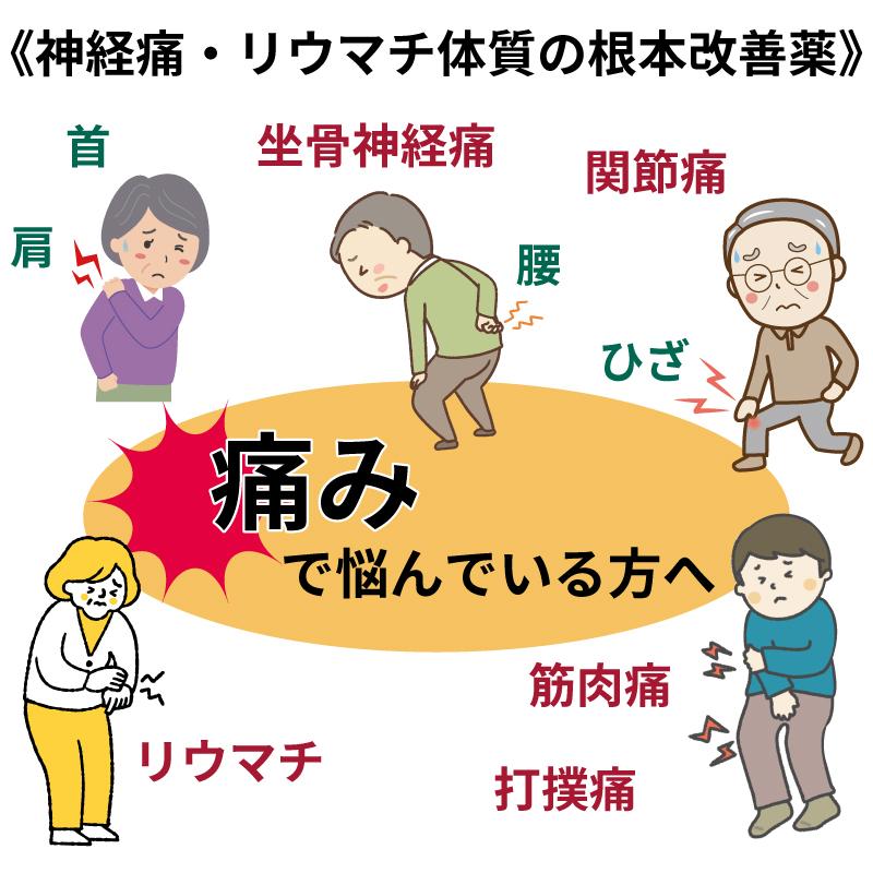ホノミ漢方 神経痛 リウマチ 関節痛 筋肉痛 坐骨神経痛 ロイルック 360
