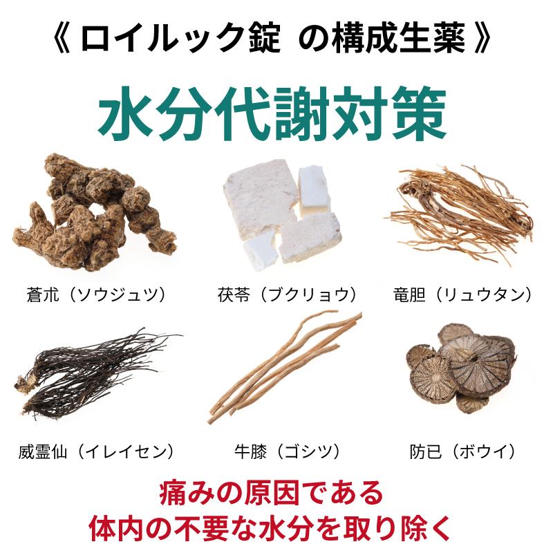 ホノミ漢方 リウマチ 関節痛 坐骨神経痛 関節炎 痛み 神経痛 