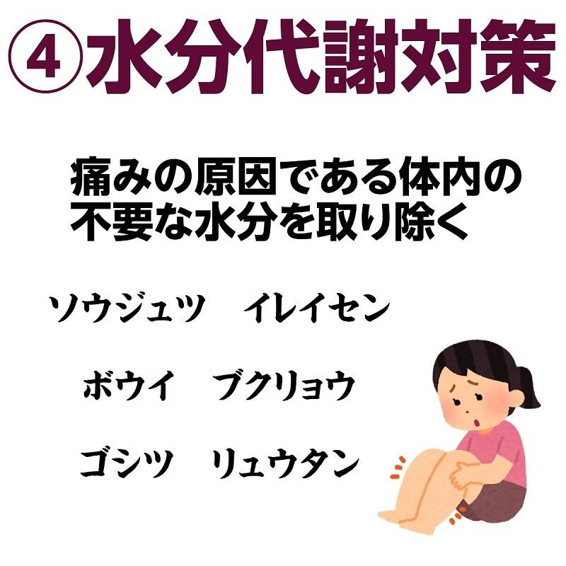 リウマチ 関節痛 坐骨神経痛 膝の痛み 腰痛 関節炎 ロイルック錠 180錠 ホノミ 《第2類医薬品》|satuma|05