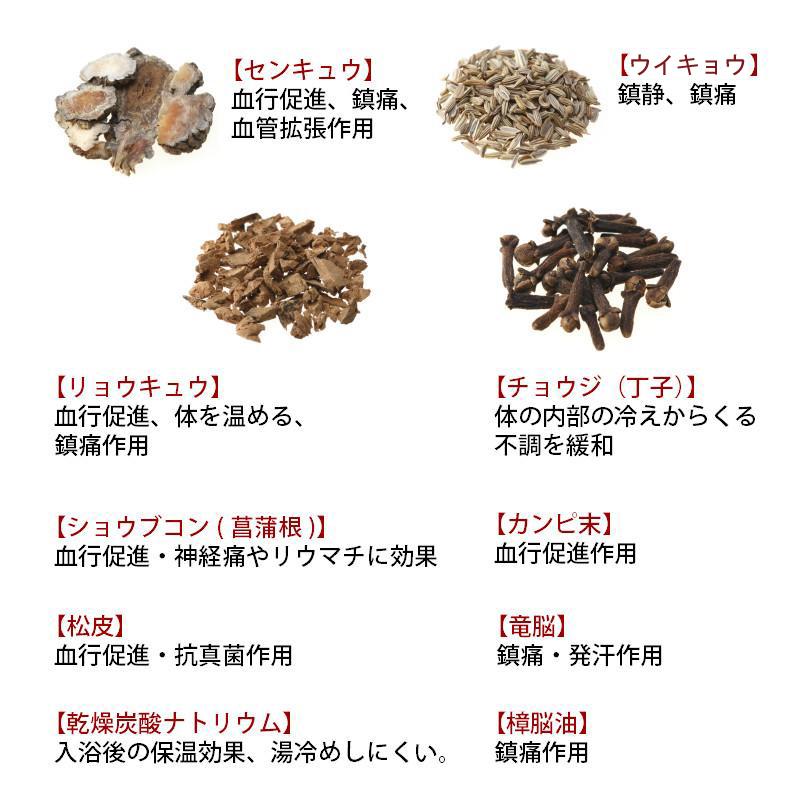 漢方 入浴剤 延寿湯温泉(えんじゅとう) 12包入 薬湯 生薬 薬草《医薬部