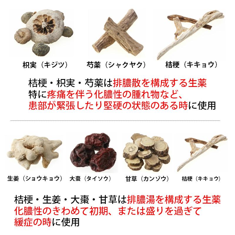 歯槽膿漏 蓄膿 リンパ腺炎 化膿 送料無料 ワグラスD錠 450錠 毛嚢炎 ちくのう ホノミ 《第2類医薬品》|satuma|04