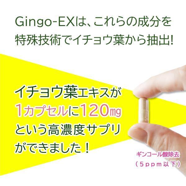 イチョウ葉エキス サプリメント Gingo-EX(ギンゴイーエックス) 60カプセル×3個セット〔サツマ薬局〕｜satuma｜11