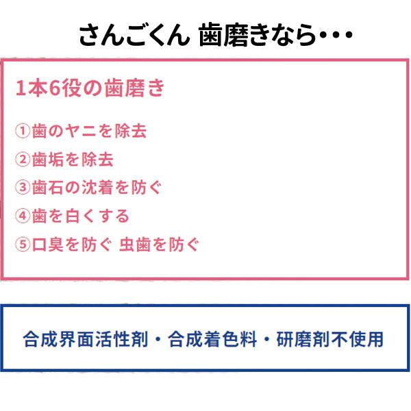 サンゴの歯磨き サンゴくん サンゴアパタイト さんごくん SANGOKUN 120g×6本セット  化石サンゴ 歯を白く 虫歯 口臭 歯石 歯垢 プラーク ヤニ 除去〔六基〕の画像