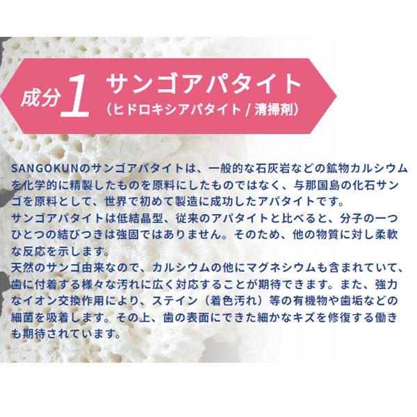 サンゴの歯磨き サンゴくん サンゴアパタイト さんごくん SANGOKUN 120g×6本セット  化石サンゴ 歯を白く 虫歯 口臭 歯石 歯垢 プラーク ヤニ 除去〔六基〕の画像