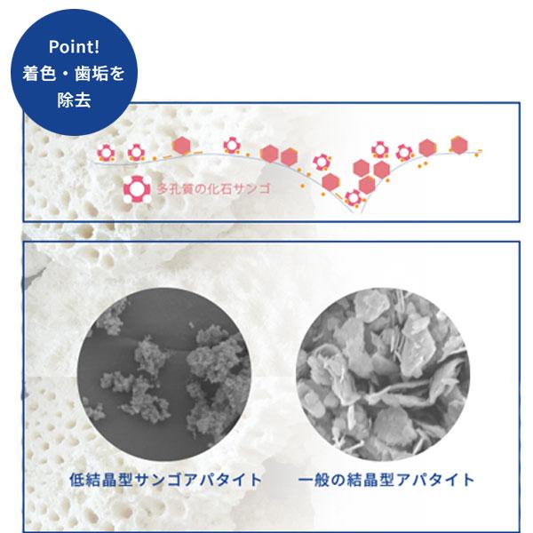 サンゴの歯磨き サンゴくん サンゴアパタイト さんごくん SANGOKUN 120g×6本セット  化石サンゴ 歯を白く 虫歯 口臭 歯石 歯垢 プラーク ヤニ 除去〔六基〕の画像