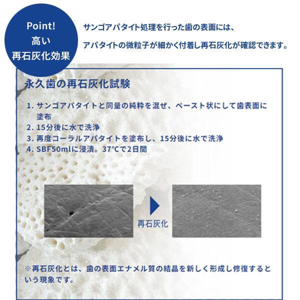 サンゴの歯磨き サンゴくん サンゴアパタイト さんごくん SANGOKUN 120g×6本セット  化石サンゴ 歯を白く 虫歯 口臭 歯石 歯垢 プラーク ヤニ 除去〔六基〕の画像
