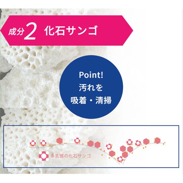 サンゴの歯磨き サンゴくん サンゴアパタイト さんごくん SANGOKUN 120g×6本セット  化石サンゴ 歯を白く 虫歯 口臭 歯石 歯垢 プラーク ヤニ 除去〔六基〕の画像