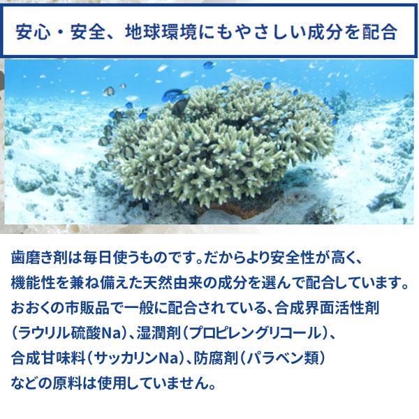 サンゴの歯磨き サンゴくん サンゴアパタイト さんごくん SANGOKUN 120g×6本セット  化石サンゴ 歯を白く 虫歯 口臭 歯石 歯垢 プラーク ヤニ 除去〔六基〕の画像