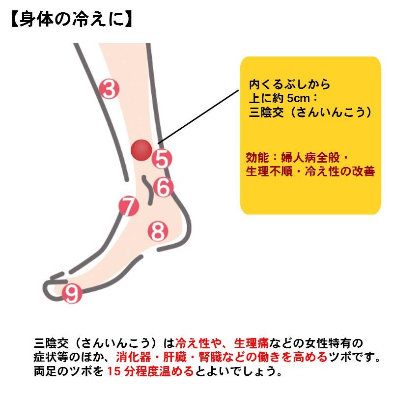 妊活 温活 邵氏温灸器セット 耳鳴り 冷え性 生理痛 むくみ 医療機器 〔徳潤〕｜satuma｜09