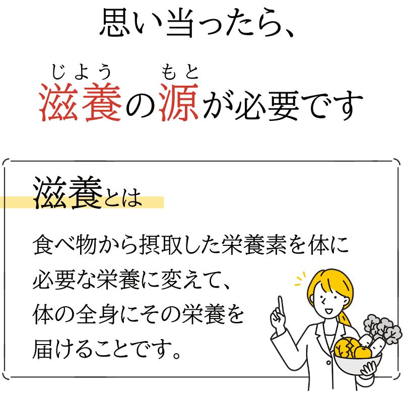 糖鎖サプリメント　3本セット Serious-TOHSA 糖鎖機能性食品 糖鎖サプリ 糖鎖通販本舗
