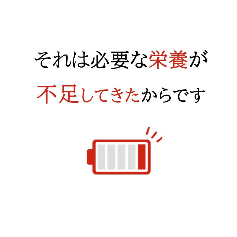 マカ サプリ スタミナ 安寿薩摩丸EX（あんじゅさつまがん) 80粒×2袋 メール便送料込 妊活 鹿角 亀板  〔サツマ薬局〕｜satuma｜04