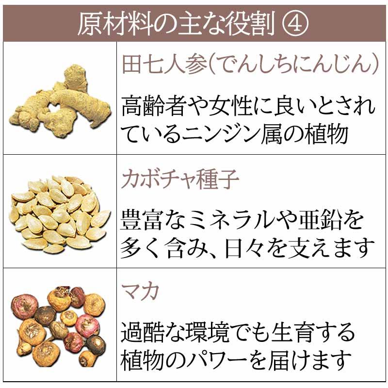 マカ サプリ スタミナ 鹿角 亀板 安寿薩摩丸EX（あんじゅさつまがん