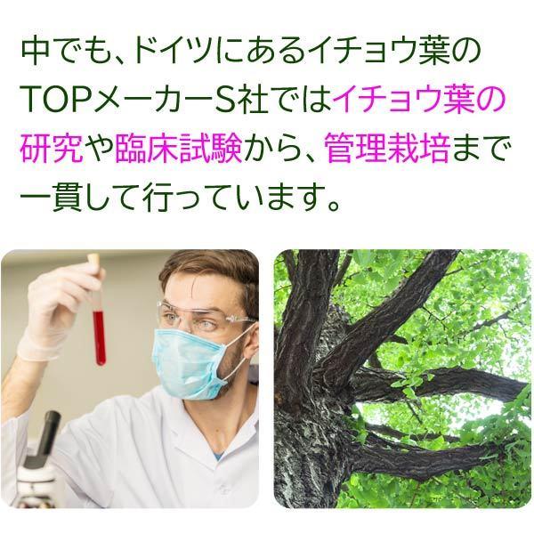 イチョウ葉エキス サプリメント Gingo Ex ギンゴイーエックス 60カプセル いちょう ギンコ サツマ薬局 St サツマ薬局 通販 Yahoo ショッピング