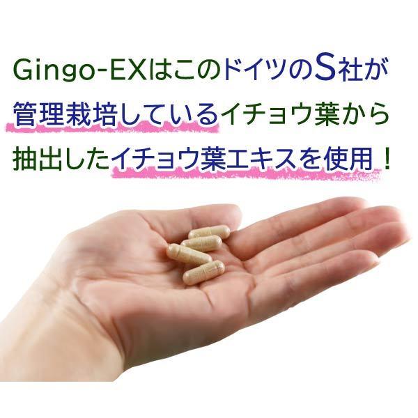 しょうこだよ】プレミアム入り！Bio Aroma エキスセット 6本 しょうこ