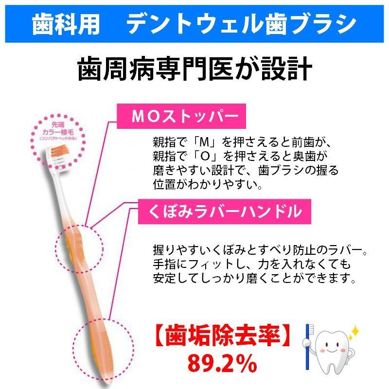 歯周治療って面白い！ 1・2 セット 歯周治療って面白い！ マンガでわかる考え方とテクニック 1.基礎編／医
