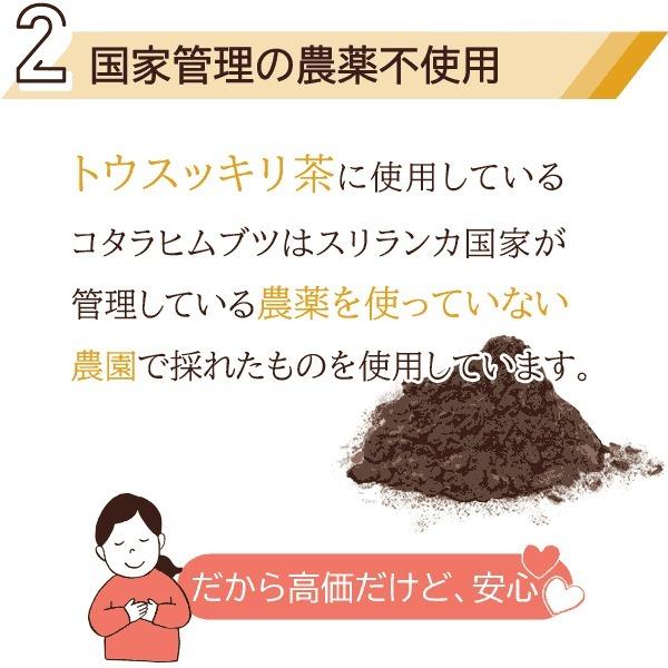 コタラヒム配合 健康茶 トウスッキリ茶 120包〔サツマ薬局〕 : サツマ