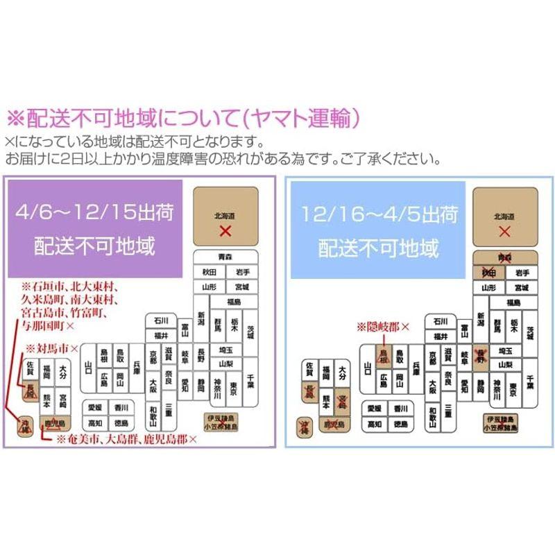 胡蝶蘭専門店はなやか 胡蝶蘭 白大輪 3本立ち 24輪以上 胡蝶蘭 白大輪 3本立ち 24輪以上 　