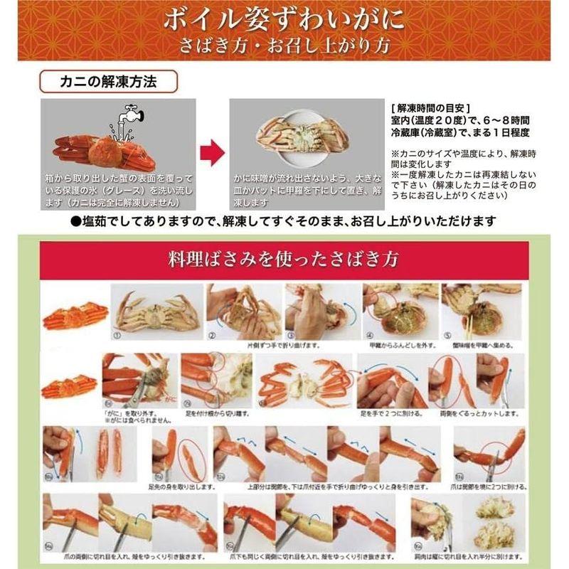 【超美品】 国産 ボイル 紅ズワイガニ姿 (3.5kg(700g×5尾入)) 山陰香住港 【2973686389】(17668円)