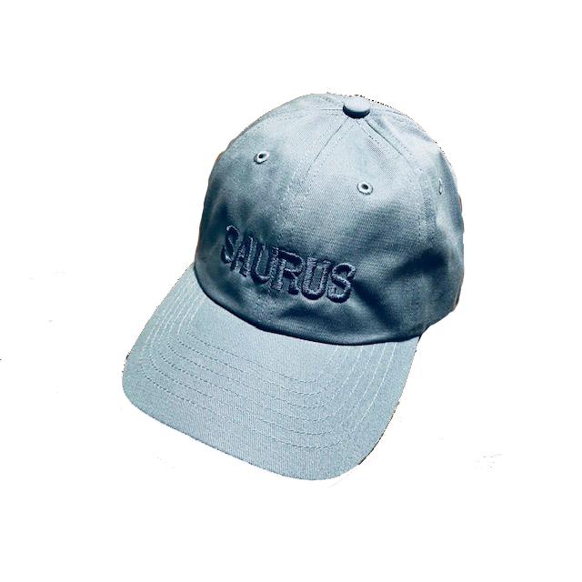 ザウルス SAURUS チャンピオングリップ 未使用 シュリンク付 SAURUS アングリングキャップ : SAURUS Direct Shop - 通販 - Yahoo