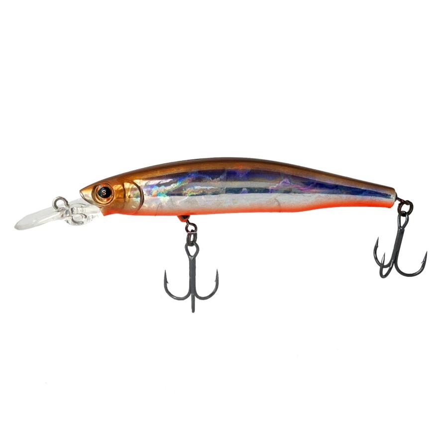 New!】 レックス・ミディアムディープ 9cm : SAURUS Direct Shop