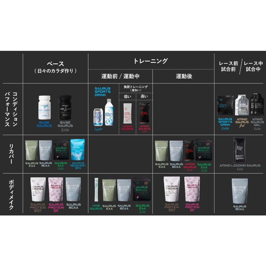 新品未開封 2袋Dr.TRAINING RECOVERY BATHリカバリーバス バス｜SAURUS公式オンラインショップ |