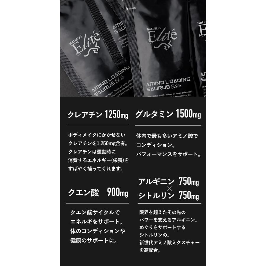SAURUS完走PACK アミノサウルス ジェル 2種各2個入 ローディング