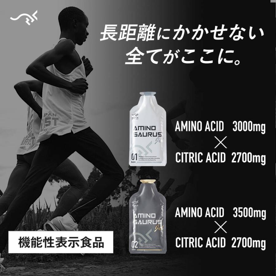 SAURUS完走PACK アミノサウルス ジェル 2種各2個入 ローディング