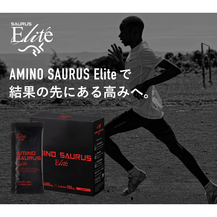 SAURUS完走PACK アミノサウルス ジェル 2種各2個入 ローディング