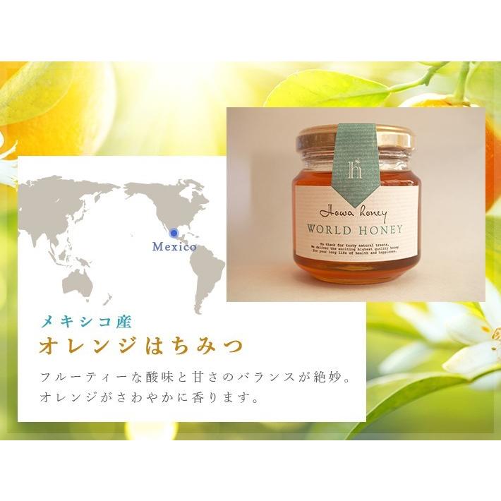 蜂和産業 人気3種ギフトセット（ハンガリー産アカシアはちみつ
