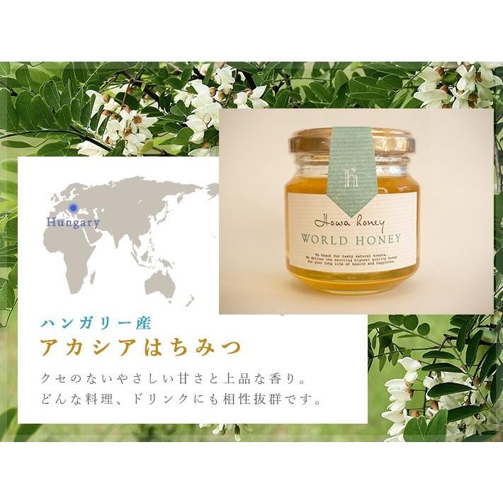 蜂和産業 おすすめ3種ギフトセット（ハンガリー産アカシアはちみつ120g