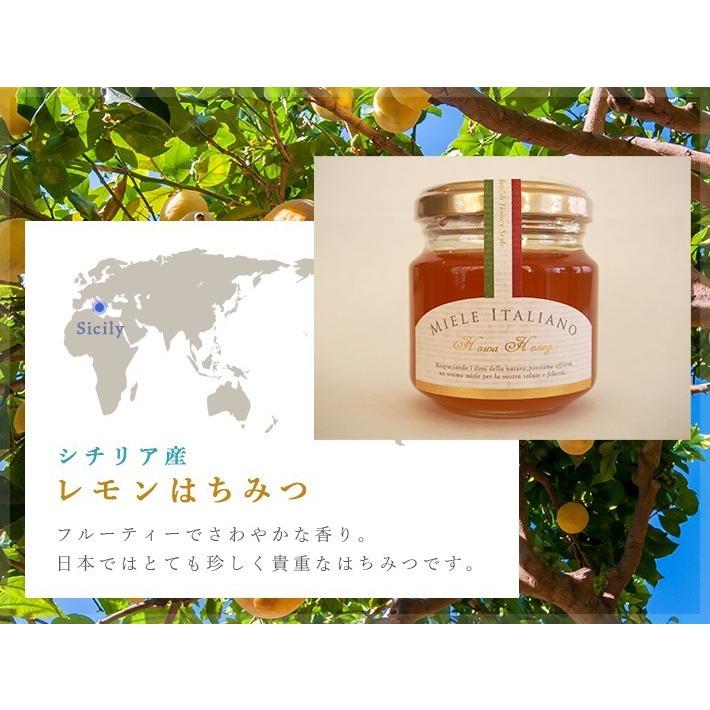 [2箱セット]蜂和産業　おすすめ3種ギフトセット（ハンガリー産アカシアはちみつ、ブルガリア産ローズはちみつ、シチリア産レモンはちみつ 各120g&times;2）