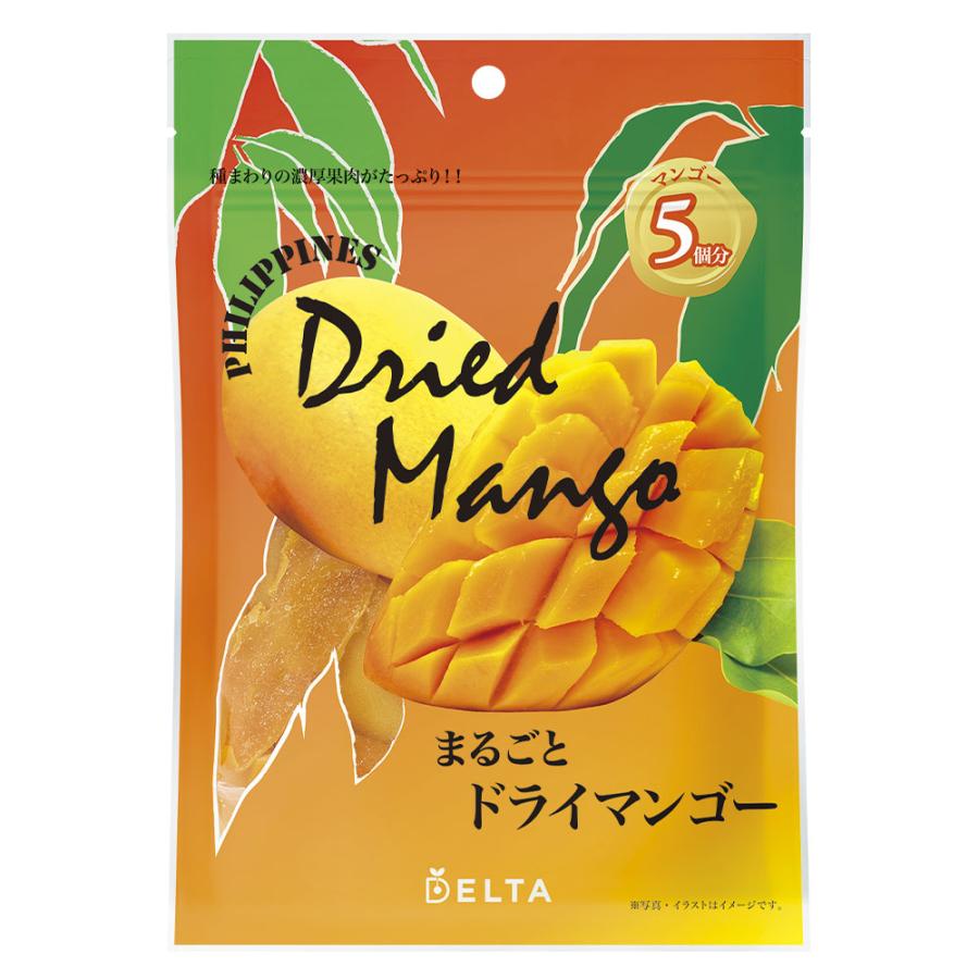 マンゴー[12袋セット]プロフード社 フィリピン産まるごとドライ