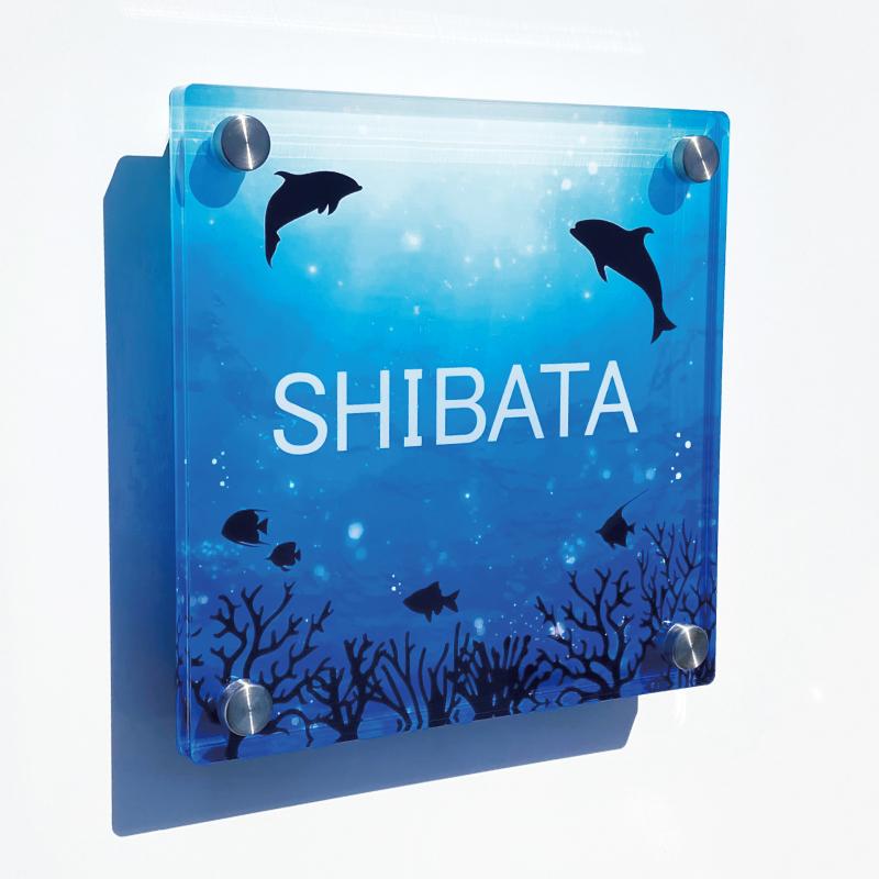 アクリル表札/マリンブルー】 看板 戸建て 新築 表札 ネームプレート