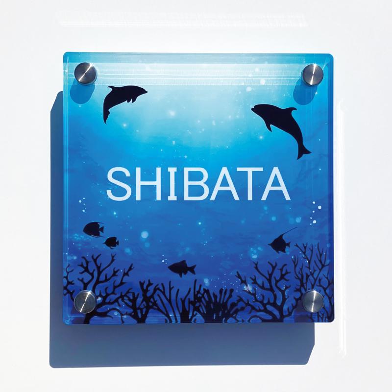 りなさたん＊白orホワイトリッチストーン背景アクリル表札＊黒板はみ出し アクリル表札/マリンブルー】 看板 戸建て 新築 表札 ネームプレート