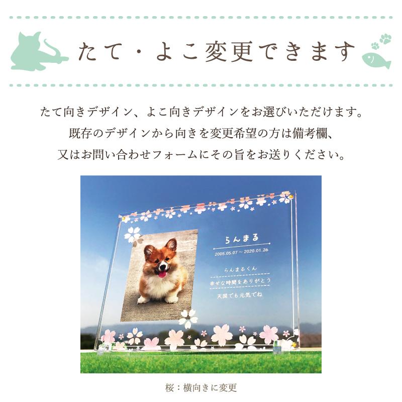 ペット フォトプレート 犬 写真 愛猫 グッズ ペットグッズ 猫 ブルー 愛犬 大きいサイズ メモリアルグッズ ピンク メモリアル フラワー
