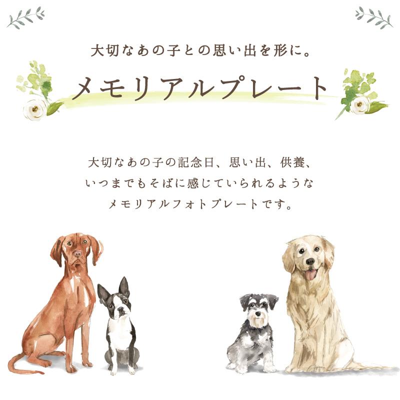 メモリアルフォトプレート ・ハワイアン】 犬 猫 愛犬 愛猫 ペット