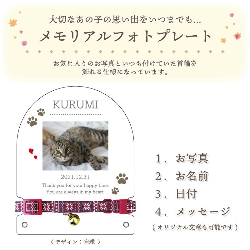 メモリアルフォトプレート / 首輪飾り・スター】 犬 猫 愛犬 愛猫