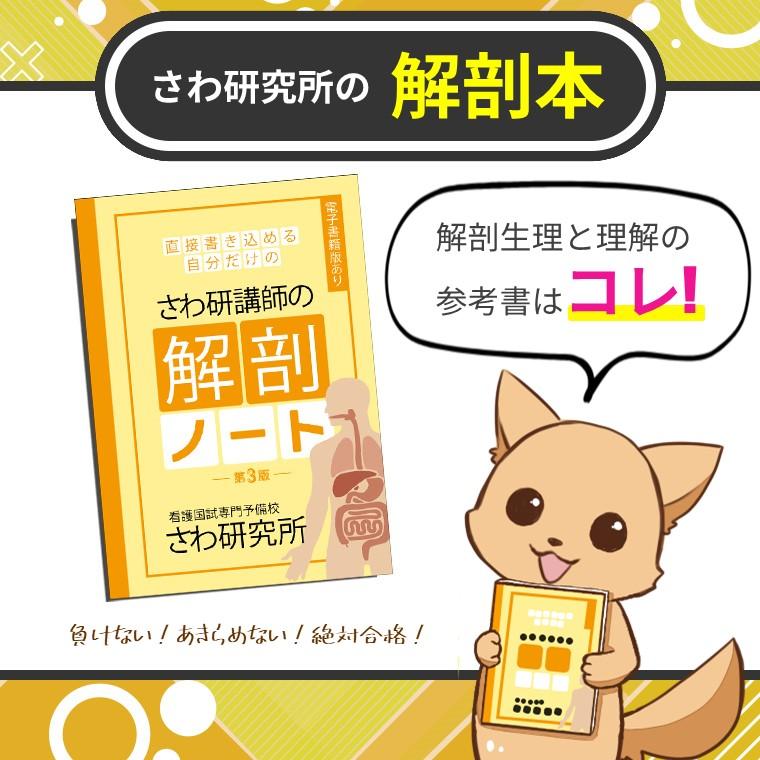 自分だけのノート さわ研 解剖ノート : 看護国試専門予備校さわ研究所