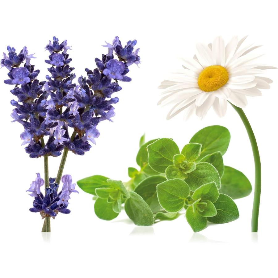 doTERRA Serenity Essential Oil Calming Blend 15 ml (2 pack doTERRA Serenity Essential Oil Calming Blend 15 ml (2 pack