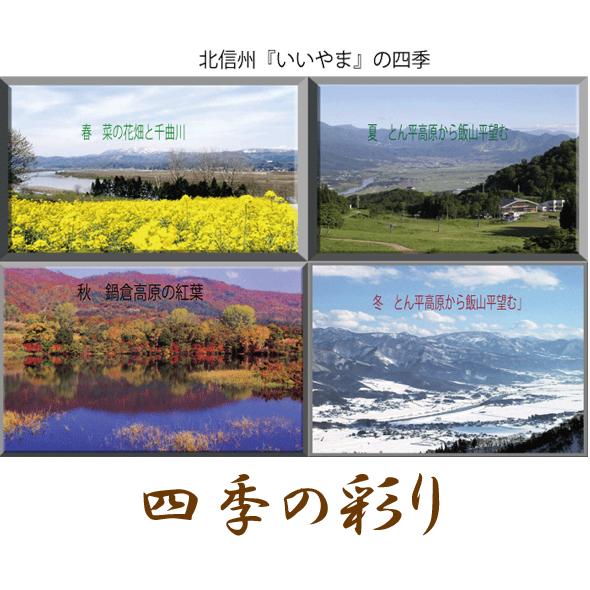 信州 十割蕎麦 新そば 敬老の日 お歳暮 ギフト お取り寄せ プレゼント ノングルテン 手打生そば２人前 長野県産蕎麦粉使用｜sawadanoie｜09